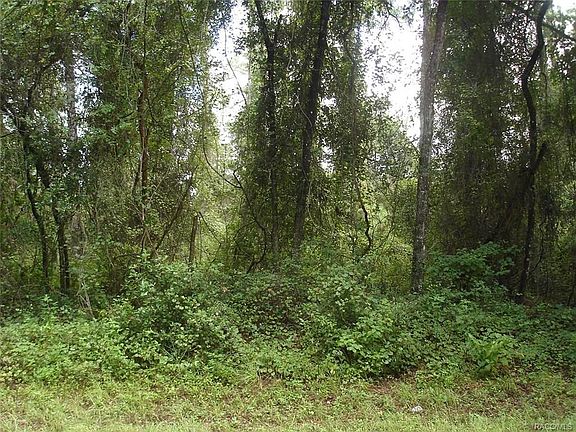 3rd image of 1094 E Vercelli Ln