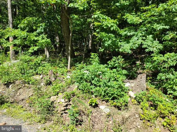 LOT 6 Cardinal Ln, Winchester, VA 22602