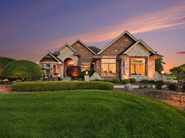 10139 W Tall Grass Ln, Monee, IL 60449
