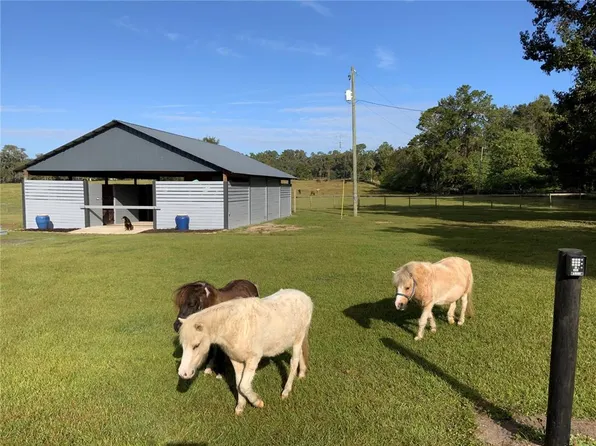 329th Hwy Lot 1, Reddick, FL 32686