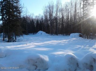 2937 White Rabbit Dr, Houston, AK 99623