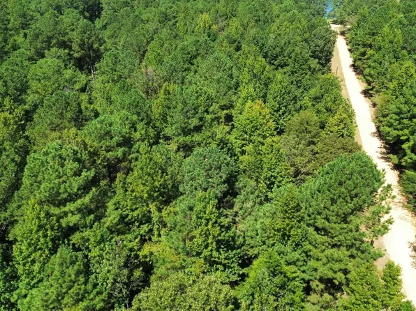 Turner Riverfront Rd, Panola, AL 35477