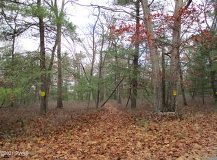 Lackawaxen Rd, Shohola, PA 18458