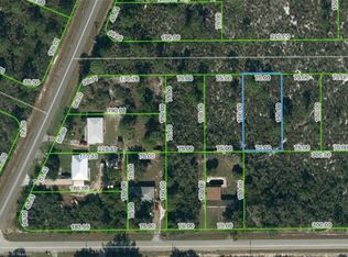 1407 Columbine St, Lake Placid, FL 33852