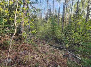 2XX Strobus Lake Rd, Lutsen, MN 55612