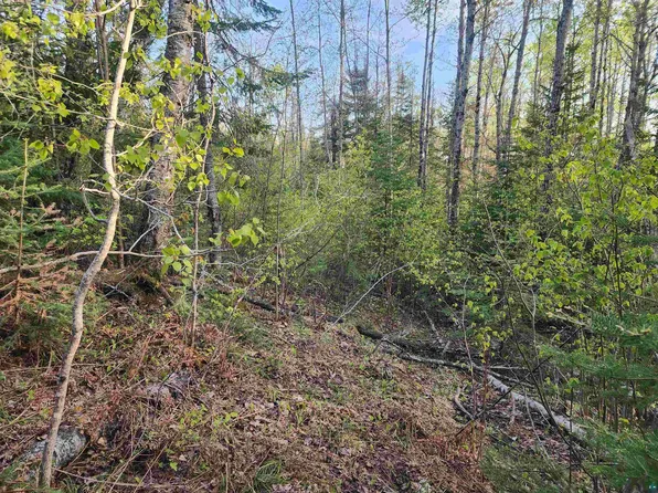 2XX Strobus Lake Rd, Lutsen, MN 55612