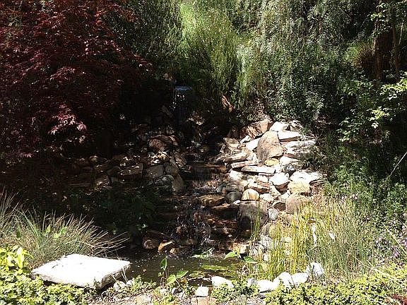 4th image of 3813 Rollingwood Dr
