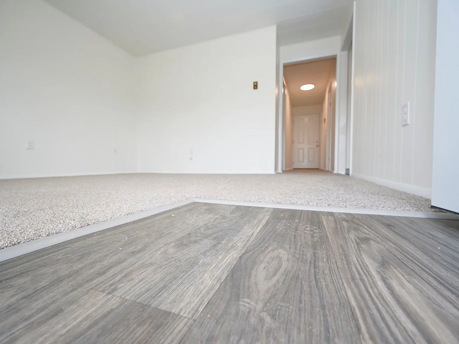 Come Check Out These Newly Renovated 1 Bedroom Apartments Only $795 A Month! — Photo 1