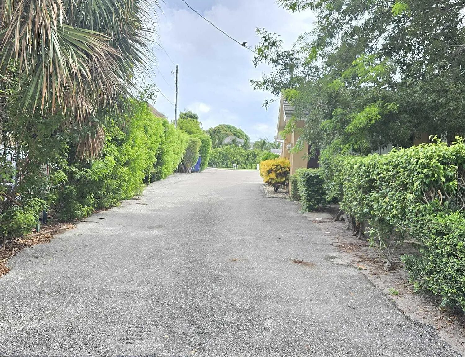 2 bed, 1.0 bath, 900 sqft, $1,700 — Photo 2