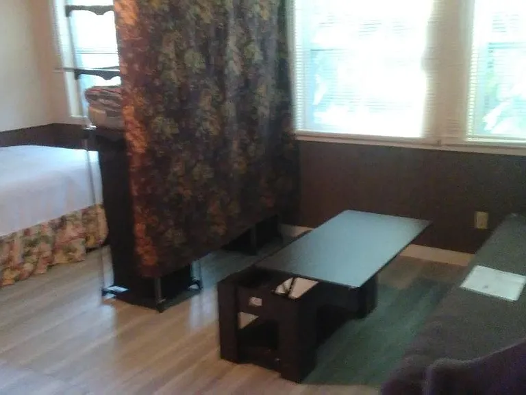 unit 100: Efficiency, whole room with bed, couch, table, closet