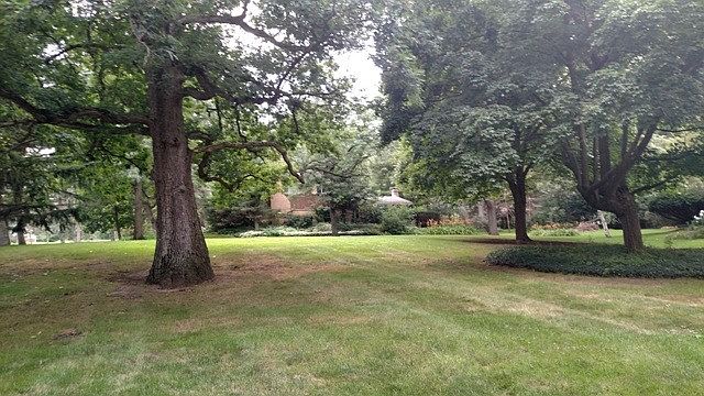 2nd image of 1054 Van Tassel Rd