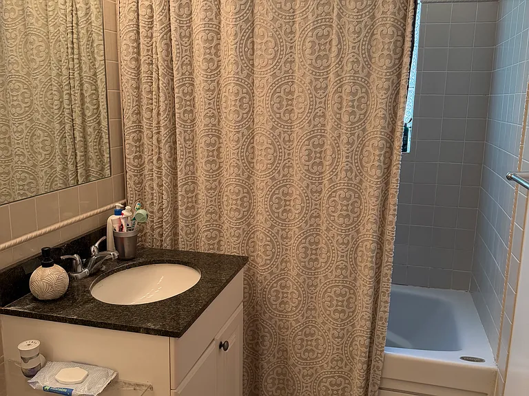 1138 W North Shore Ave #3S — Photo 5