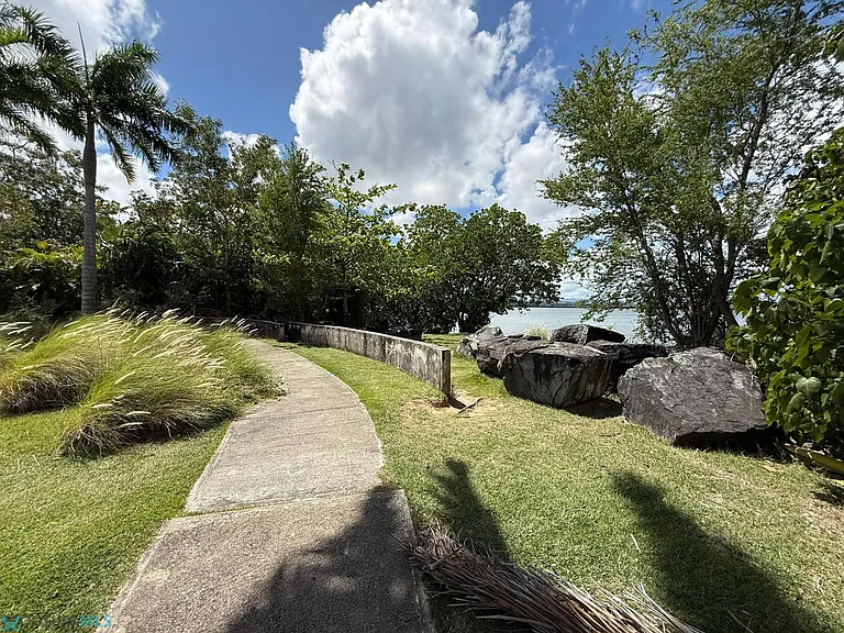 203 Avenida Laguna #1231 — Photo 33