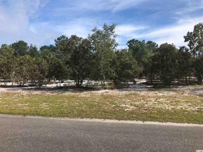 TBD Francis Marion Dr., Georgetown, SC, 29440