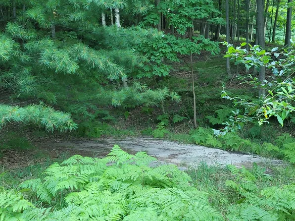 0 Hill Rd, Manistee, MI 49660