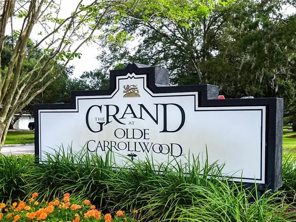 10336 Carrollwood Ln #103