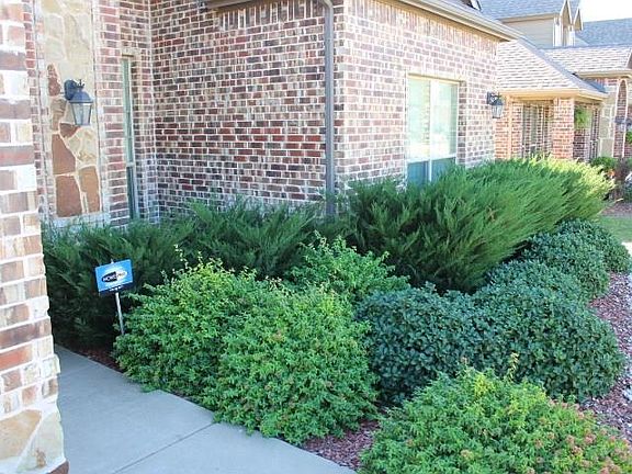 2nd image of 9839 Lance Dr