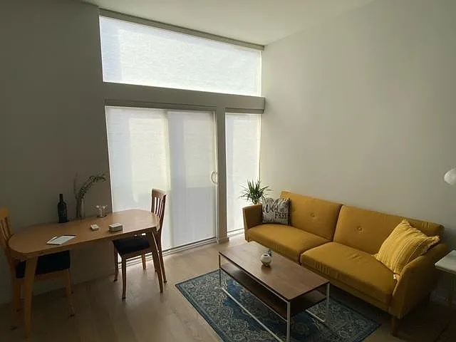 Remote Controlled Window Blinds
