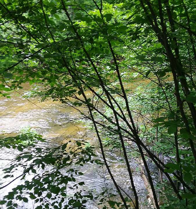 1st image of Agawa Trl