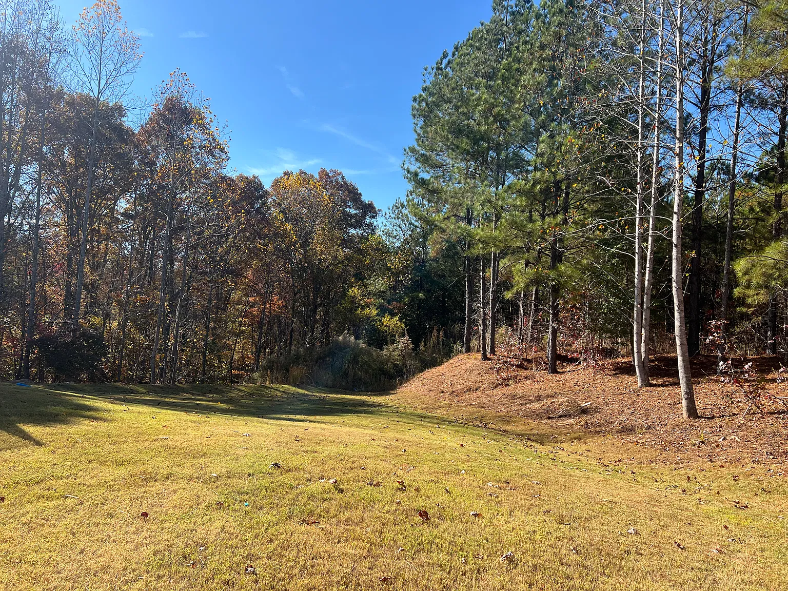 5 bed, 2511 sqft, $2,700 — Photo 4