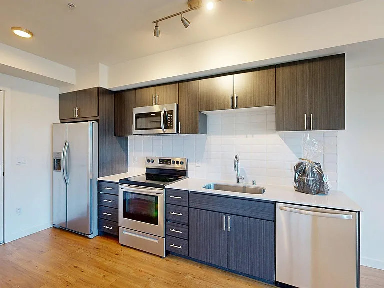 Apartment Kitchen with Stainless Steel Appliances and Wood-Style Flooring.