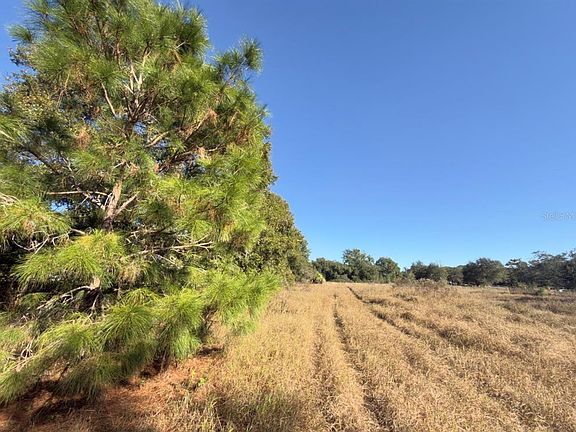 5th image of 24939 County Road 33