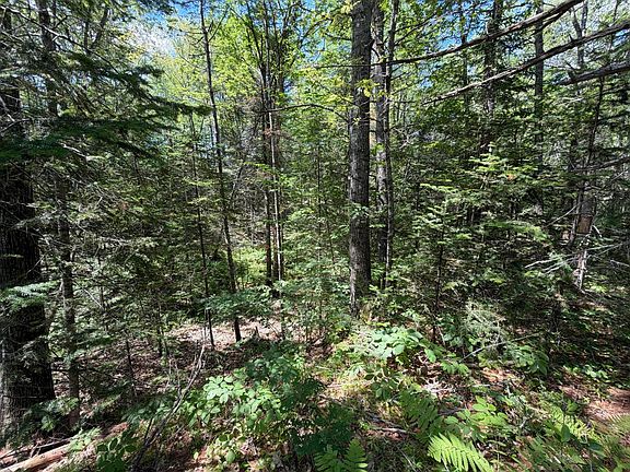 2nd image of Lot R05129 Polly Clark Brook