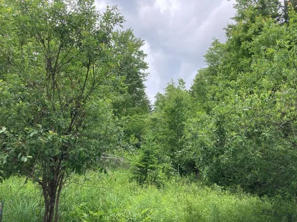 River Road, Canaan, NH 03741