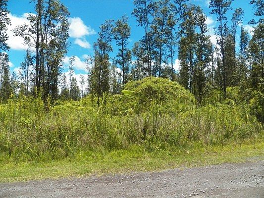 3rd image of Keala Lot 29