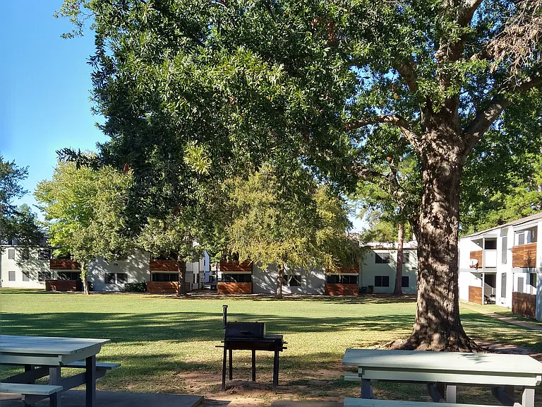 Outdoor Recreation Area Showcasing Barbecue Grill and Picnic Tables