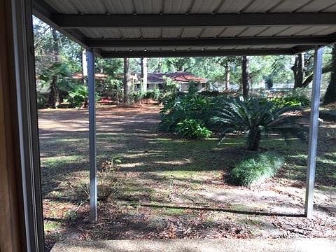 View of sago palms and shade under mature oak tree from the covered patio area