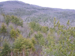 40 Sassafras Ct, Sapphire, NC 28774