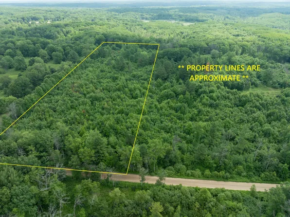 PARCEL Deer Lake Rd #A, Harrison, MI 48625