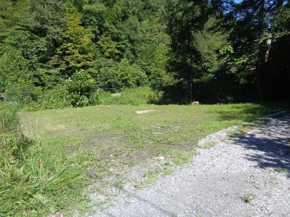 0 Shaft Hollow Rd, War, WV 24892