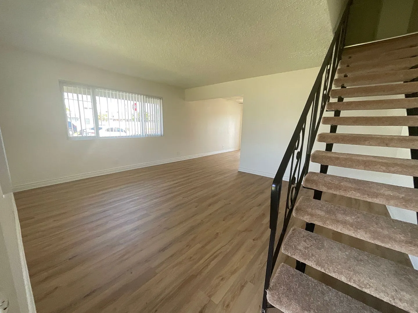 BAILEY12161 — Photo 4