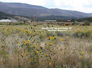 242 Landen Dr, South Fork, CO 81154