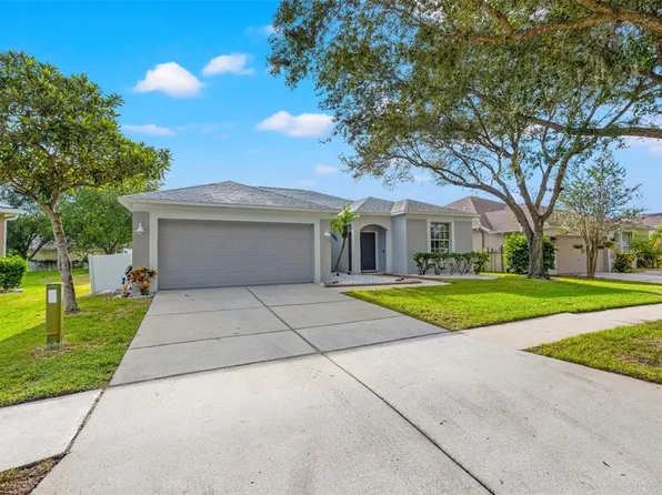 19149 Cherry Rose Cir, Lutz, FL 33558