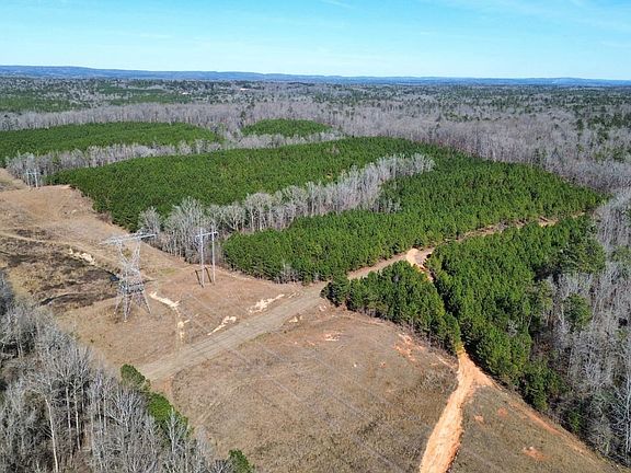 Dji Fly 20260120 130704 266 1768933349725 Photo Optimized