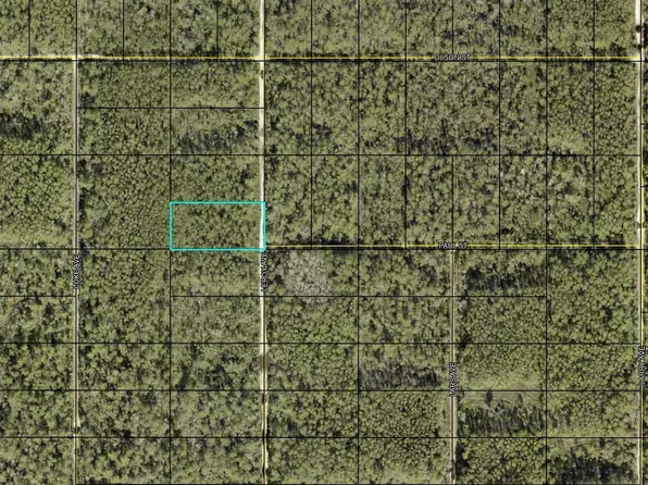 (undisclosed Address), Hastings, FL 32145