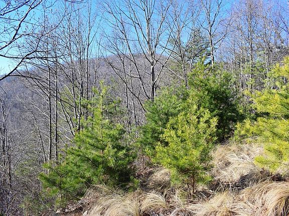 4th image of 214 Craggy Rock Ln