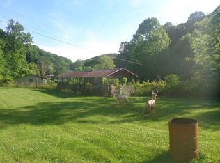 104 Walker Ln, East Lynn, WV 25512