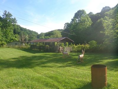 104 Walker Ln, East Lynn, WV, 25512