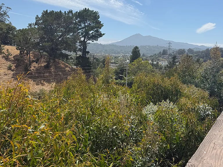 Arguello Cir — Photo 9