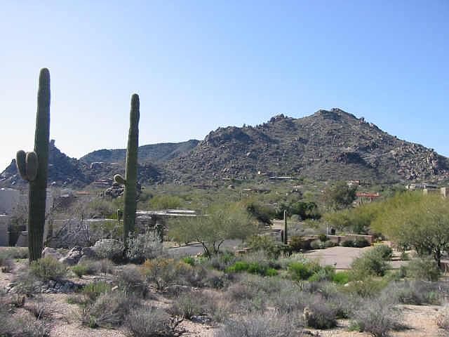 1st image of 2306 E FOXTAIL Lane #127