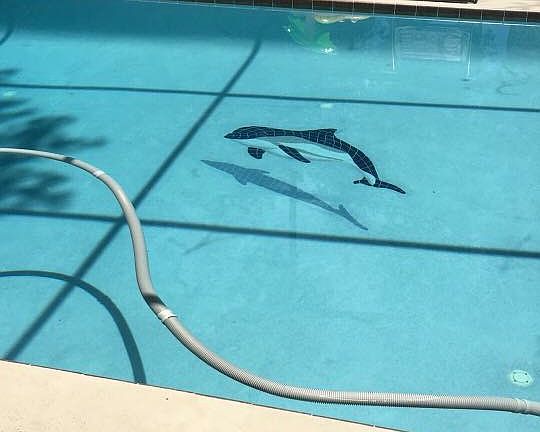 5th image of 601 N Goodrich Dr