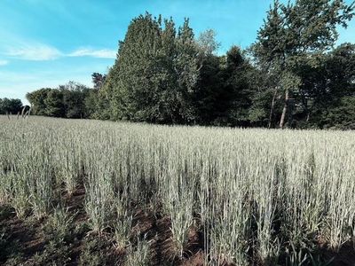2754 20th Street, Elk Mound, WI, 54739