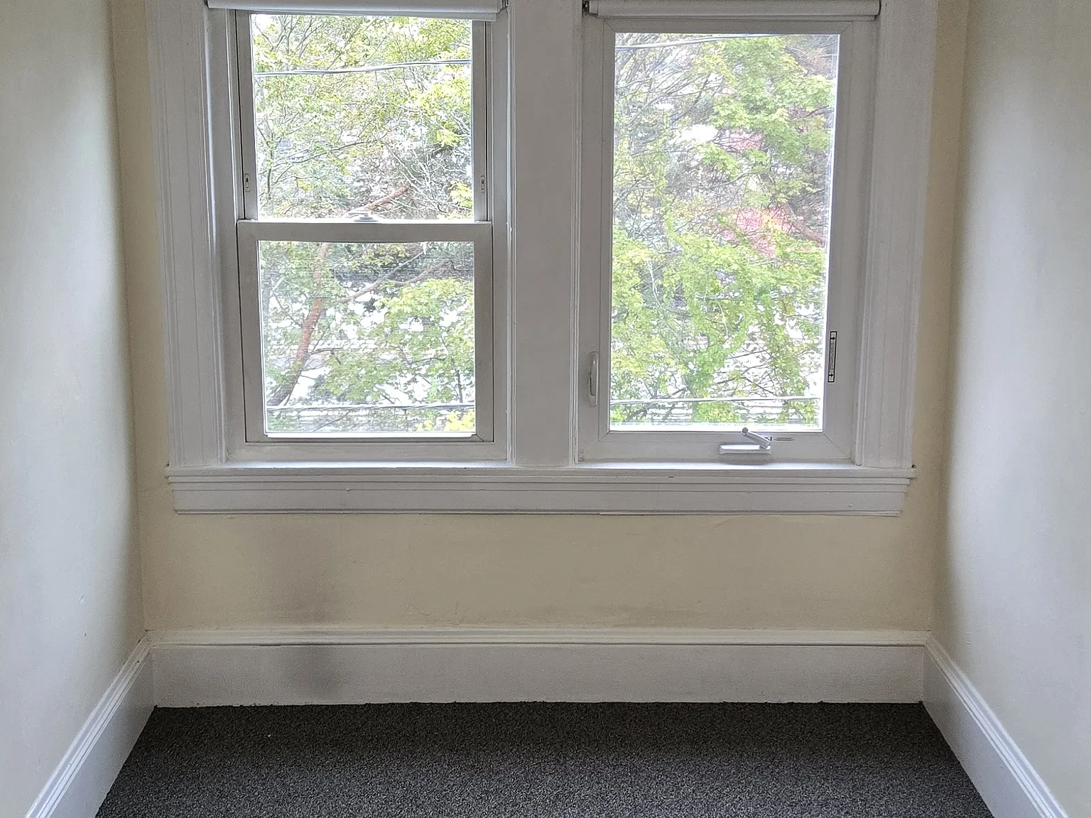 1 bed, 850 sqft, $1,700 — Photo 3