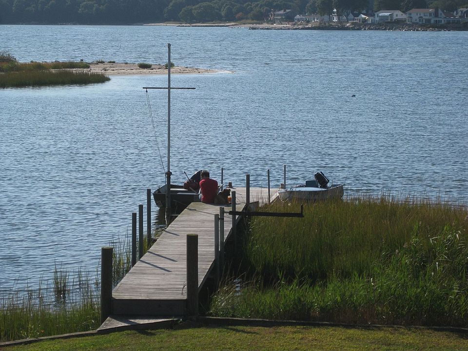 Fish,dock,swim from backyard