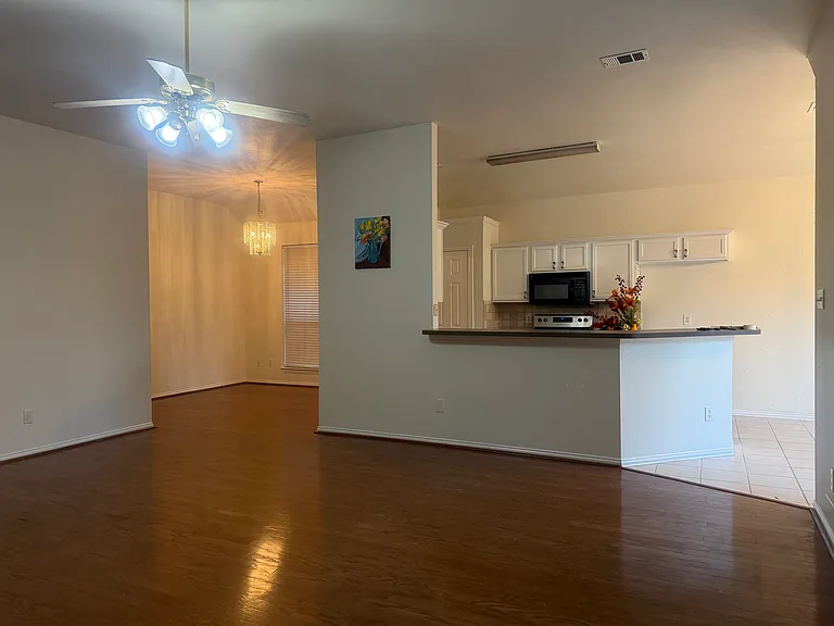 10917 Promise Land Dr — Photo 2
