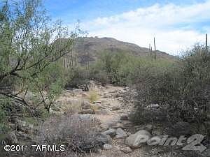 North view toward Catalinas